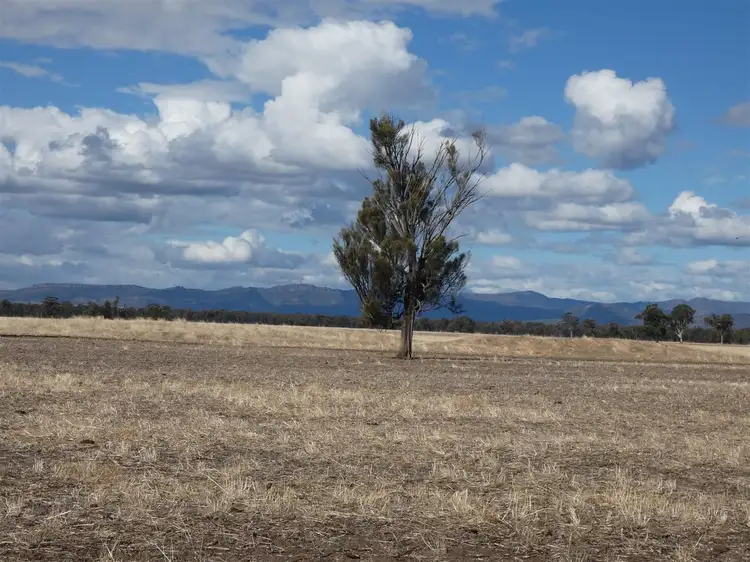 Main view of Homely rural property listing, . OBiernes Road, Mockinya VIC 3401