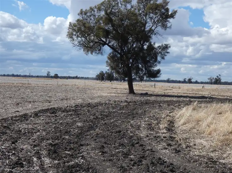 Second view of Homely rural property listing, . OBiernes Road, Mockinya VIC 3401