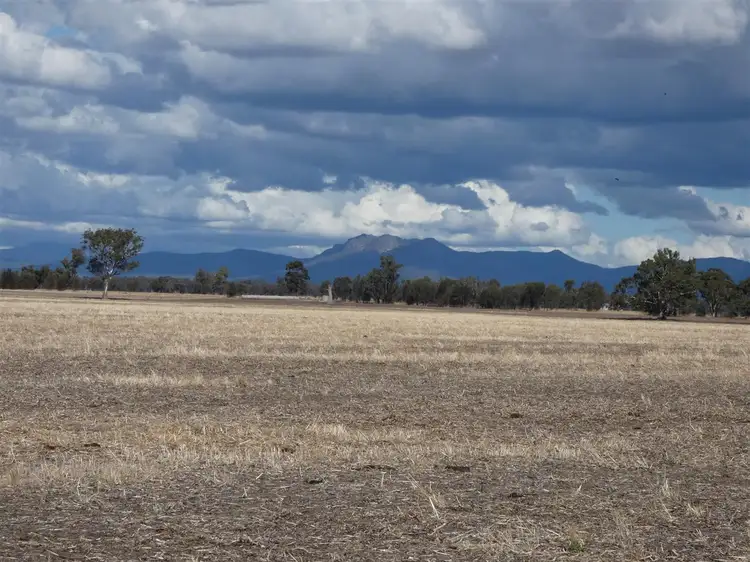 Fourth view of Homely rural property listing, . OBiernes Road, Mockinya VIC 3401
