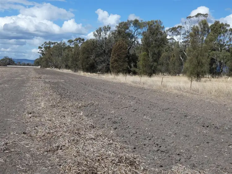 Fifth view of Homely rural property listing, . OBiernes Road, Mockinya VIC 3401