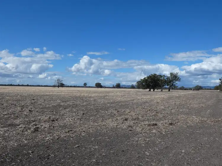 Sixth view of Homely rural property listing, . OBiernes Road, Mockinya VIC 3401