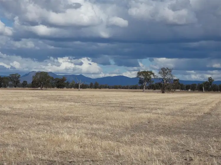 Seventh view of Homely rural property listing, . OBiernes Road, Mockinya VIC 3401