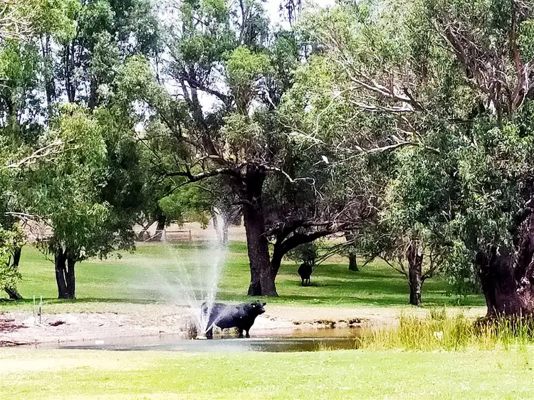 Second view of Homely rural property listing, 76 Fernwood Glen, Orange Springs, Gingin WA 6503