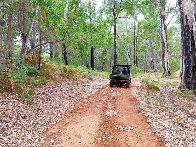 Sixth view of Homely rural property listing, 76 Fernwood Glen, Orange Springs, Gingin WA 6503