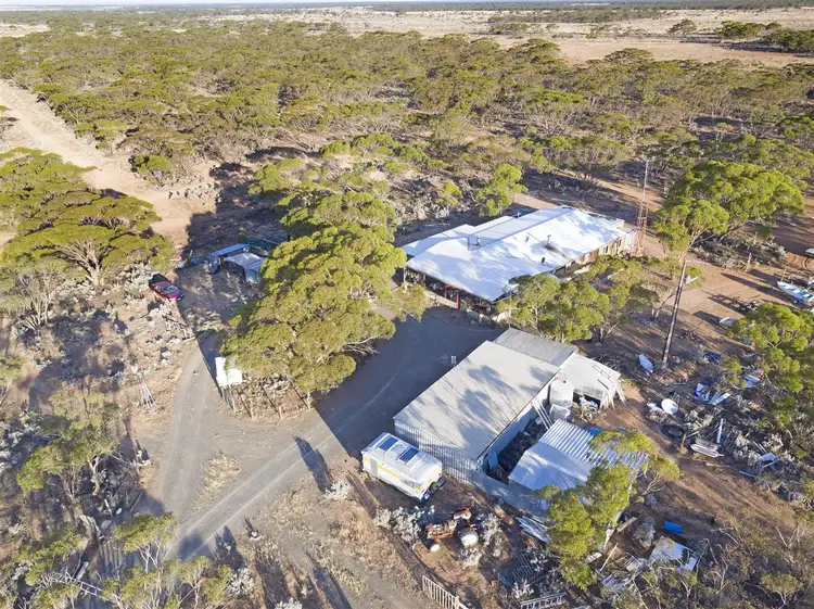 Third view of Homely rural property listing, 203 Border Road, Bower SA 5374