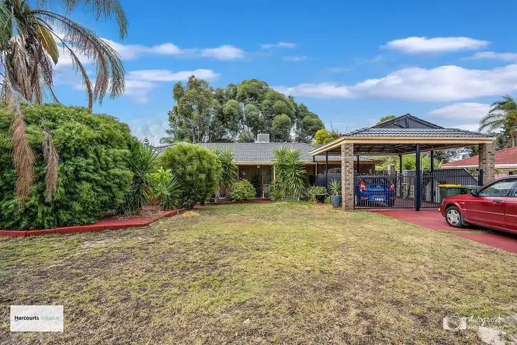 Second view of Homely house listing, 51 Osprey Circle, Ballajura WA 6066