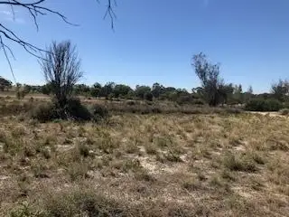 Third view of Homely land listing, Lot 201 Bourke Street, Meckering WA 6405