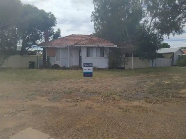 Main view of Homely house listing, 17 Williamson Street, Three Springs WA 6519