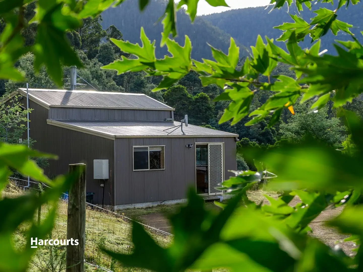 Main view of Homely house listing, 60 Mitchells Road, Crabtree TAS 7109