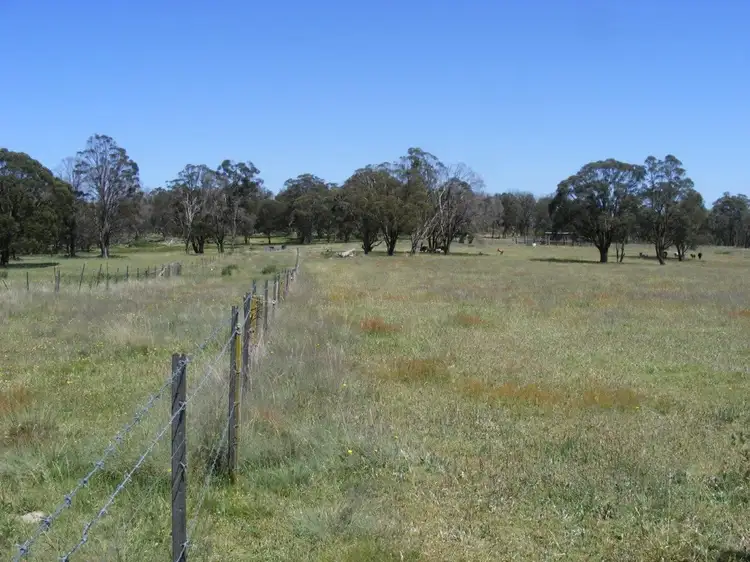 Fourth view of Homely rural property listing, 530 Donnelly's Road, Shannon Vale via, Glen Innes NSW 2370