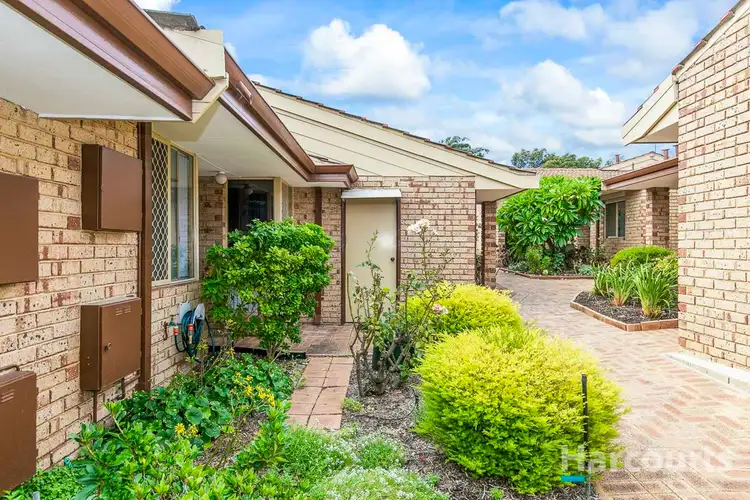 Main view of Homely villa listing, 36/11 Petterson Avenue, Samson WA 6163