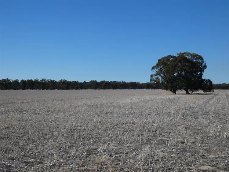 Fourth view of Homely rural property listing, . Three Bridges Road, Lower Norton VIC 3401