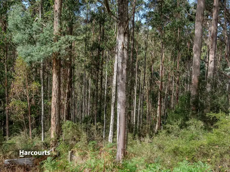 Third view of Homely land listing, 128 Cairns Road, Surges Bay TAS 7116