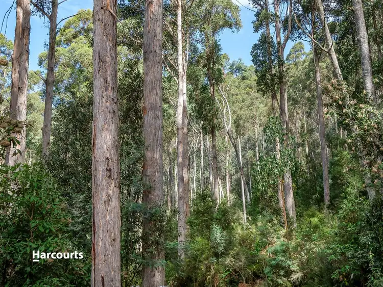 Sixth view of Homely land listing, 128 Cairns Road, Surges Bay TAS 7116