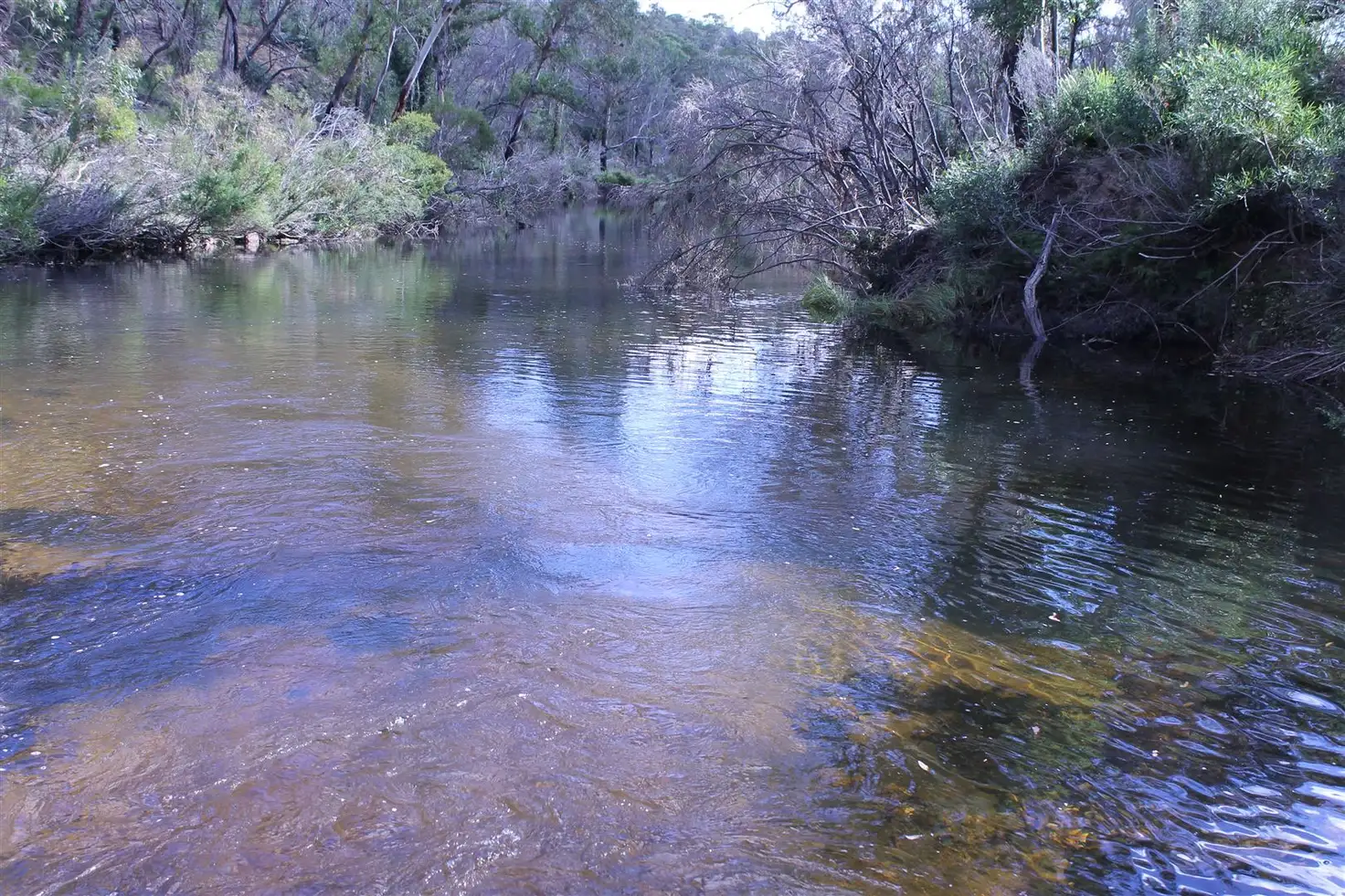 Main view of Homely rural property listing, 7269 Nerriga Road, Braidwood NSW 2622