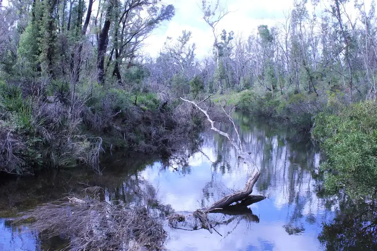 Fifth view of Homely rural property listing, 7269 Nerriga Road, Braidwood NSW 2622