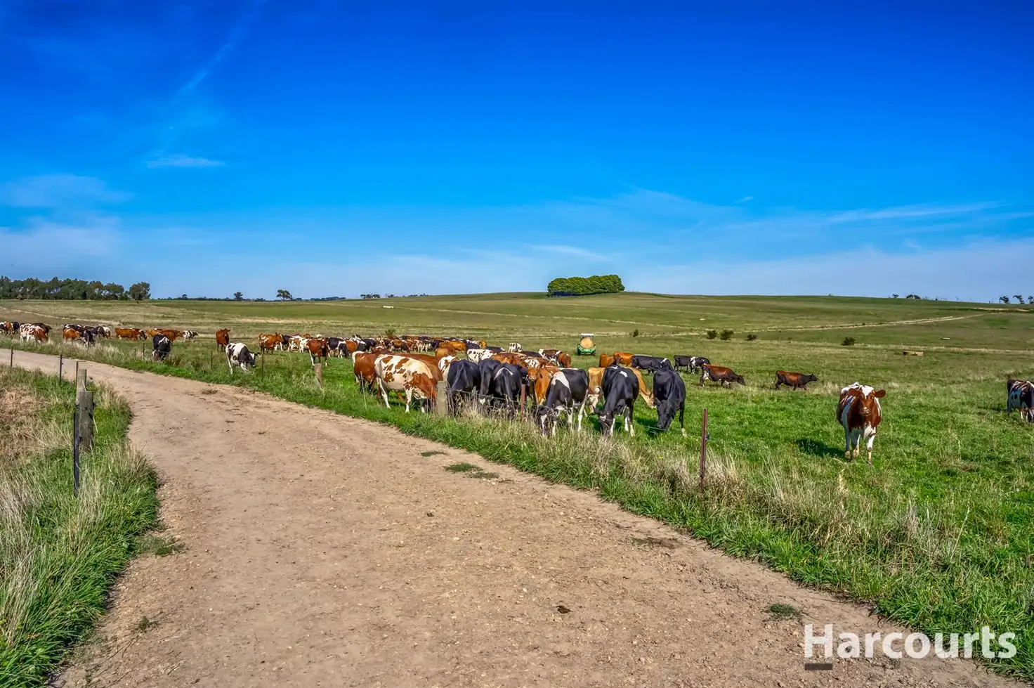 Main view of Homely rural property listing, 314 Old Telegraph Road, Jindivick VIC 3818