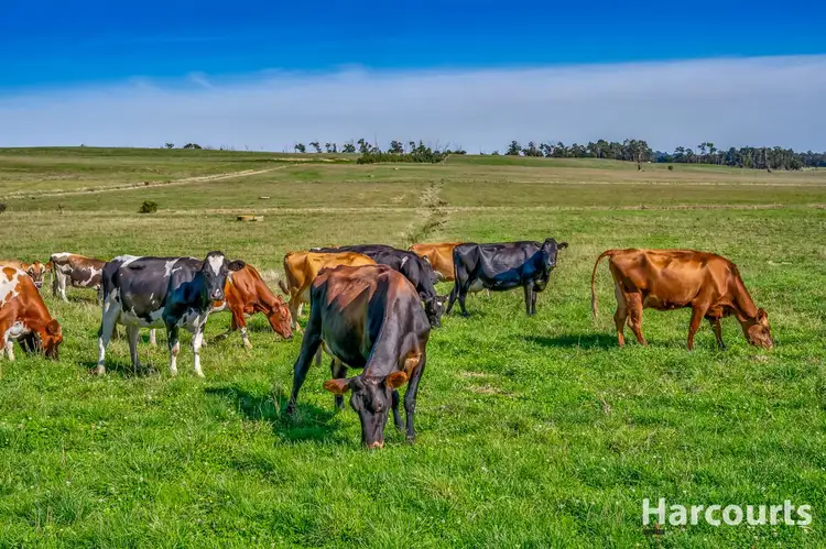 Second view of Homely rural property listing, 314 Old Telegraph Road, Jindivick VIC 3818