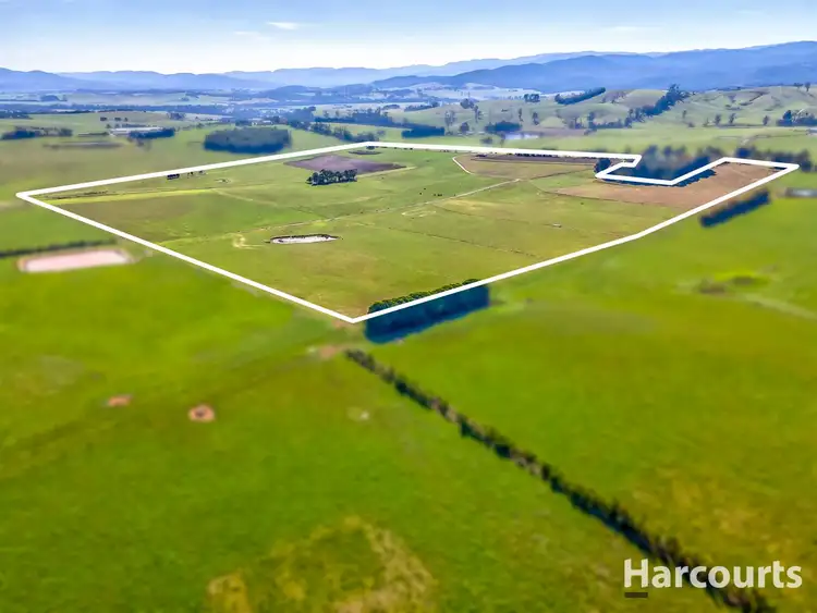 Seventh view of Homely rural property listing, 314 Old Telegraph Road, Jindivick VIC 3818