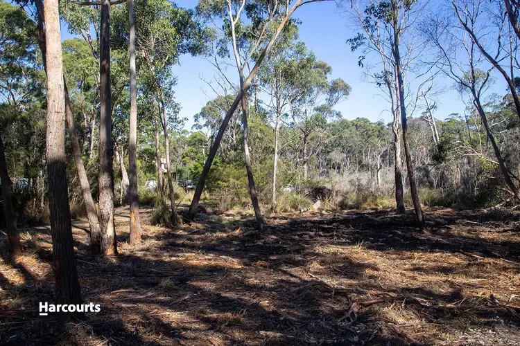 Second view of Homely land listing, Lot 2 Big Roaring Beach Road, Surveyors Bay TAS 7116