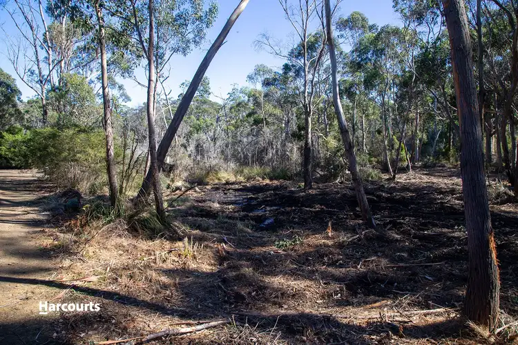 Third view of Homely land listing, Lot 2 Big Roaring Beach Road, Surveyors Bay TAS 7116