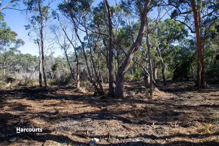 Fifth view of Homely land listing, Lot 2 Big Roaring Beach Road, Surveyors Bay TAS 7116