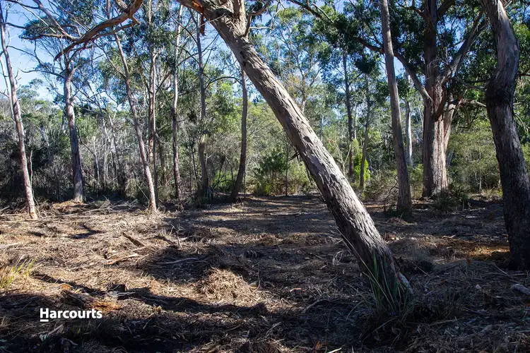Seventh view of Homely land listing, Lot 2 Big Roaring Beach Road, Surveyors Bay TAS 7116