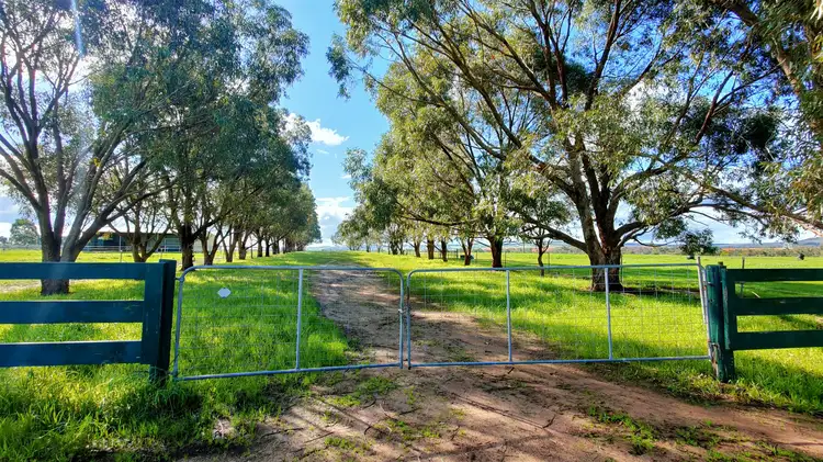 Seventh view of Homely rural property listing, 4731 Brand Highway, Beermullah WA 6503