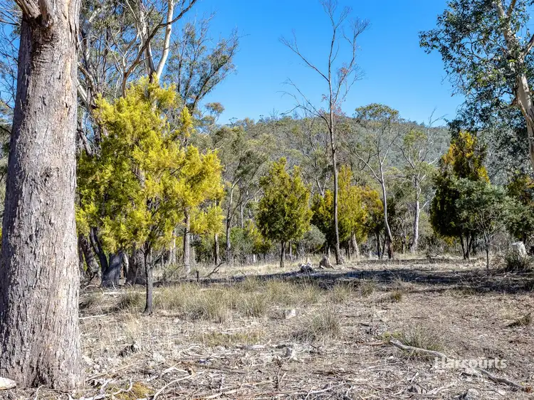 Sixth view of Homely land listing, Lot 1 Hobdens Rd, Cambridge TAS 7170