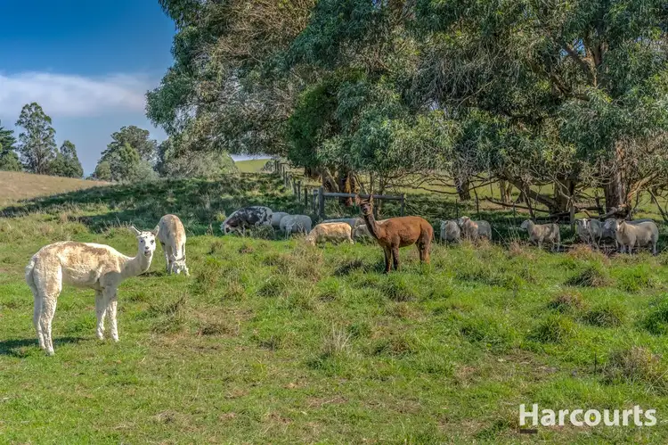 Sixth view of Homely rural property listing, Lot 2, 1730 Korumburra Warragul Road, Strzelecki VIC 3950
