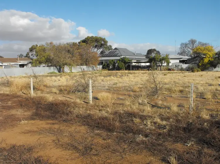 1 Connelly St, Birchip VIC 3483