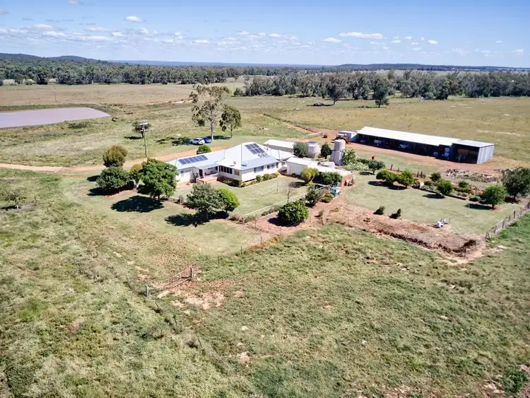 Second view of Homely rural property listing, 1387 Kaputar Road, Narrabri NSW 2390