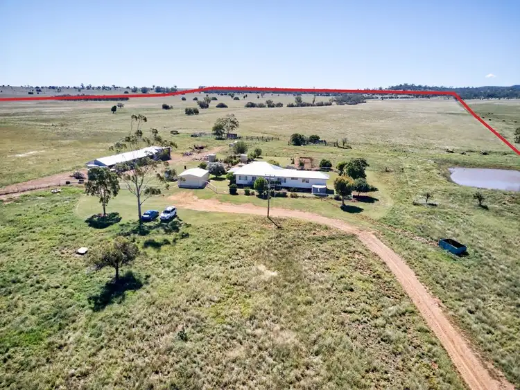 Third view of Homely rural property listing, 1387 Kaputar Road, Narrabri NSW 2390