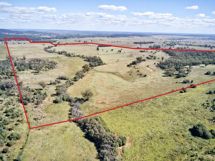 Fourth view of Homely rural property listing, 1387 Kaputar Road, Narrabri NSW 2390