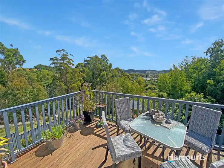 49 Erythos Grove, St Helens TAS 7216