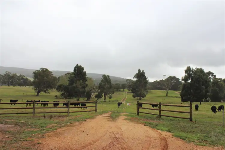 Lot 202 Mt Richard Road, Nanarup WA 6330