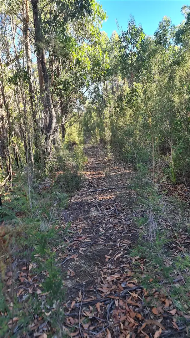 Fifth view of Homely land listing, 355 Bowens Road, York Town TAS 7270