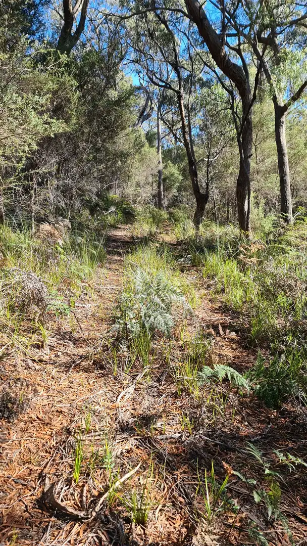 Sixth view of Homely land listing, 355 Bowens Road, York Town TAS 7270