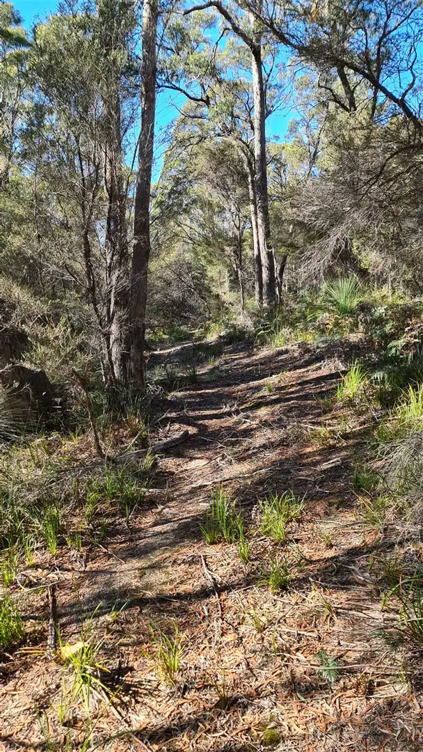 Seventh view of Homely land listing, 355 Bowens Road, York Town TAS 7270