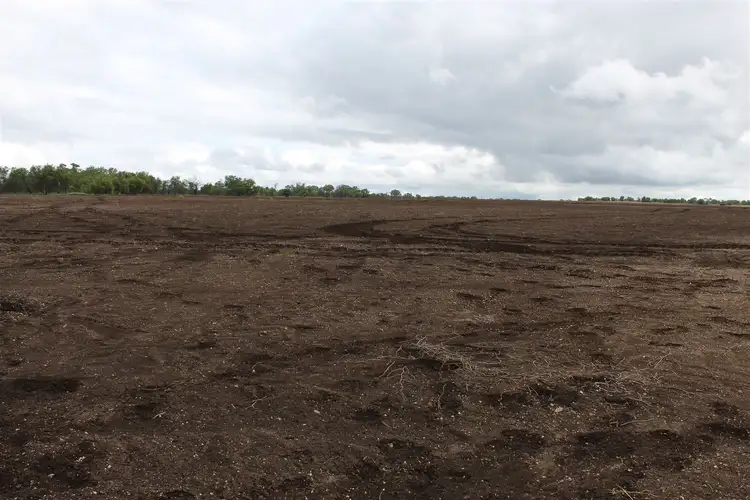 Fifth view of Homely rural property listing, Address available on request