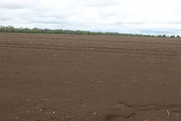 Sixth view of Homely rural property listing, Address available on request