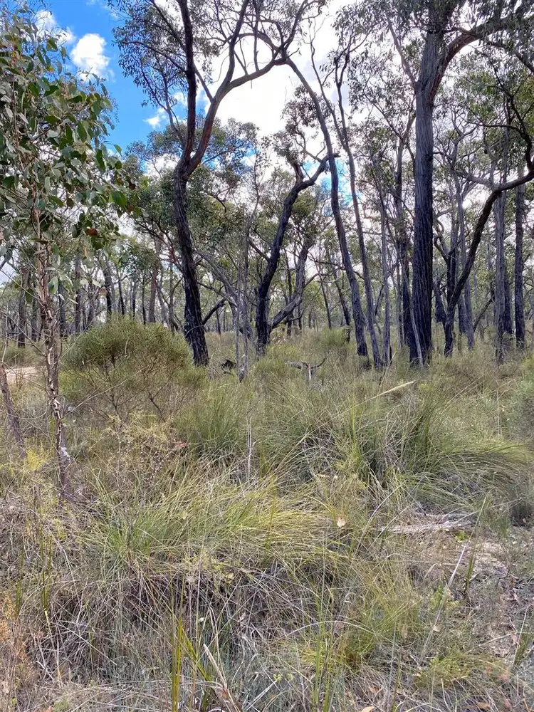 CA 41-42 Tallengower Road, Chetwynd VIC 3312
