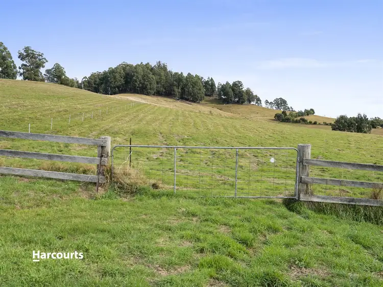 Fifth view of Homely land listing, 377 Arve Road, Geeveston TAS 7116