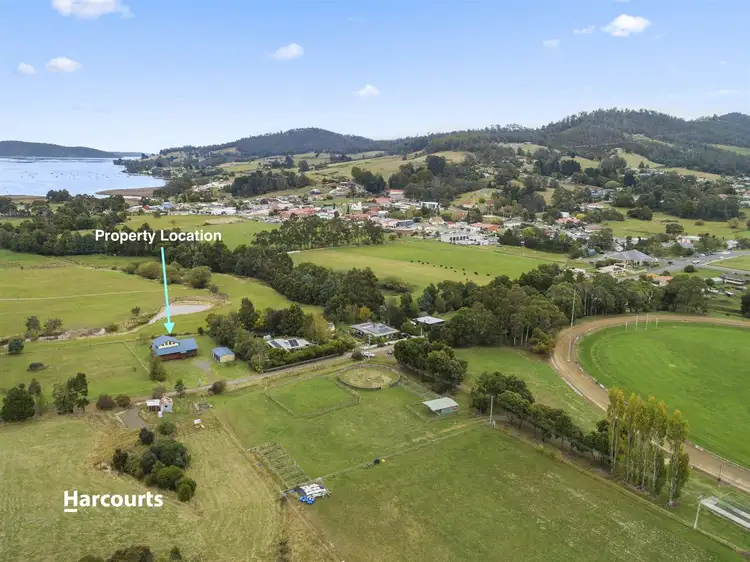 Fourth view of Homely house listing, 14 Garthfield Avenue, Cygnet TAS 7112