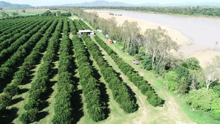 Second view of Homely rural property listing, 2608 Kirknie Road, Home Hill QLD 4806
