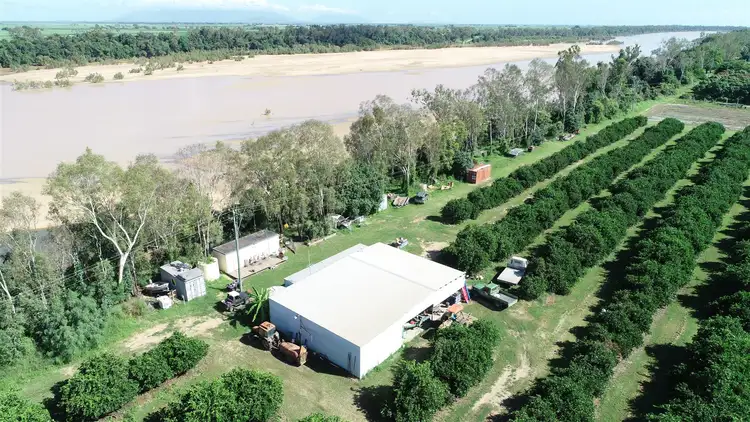 Fifth view of Homely rural property listing, 2608 Kirknie Road, Home Hill QLD 4806