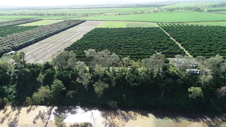 Sixth view of Homely rural property listing, 2608 Kirknie Road, Home Hill QLD 4806