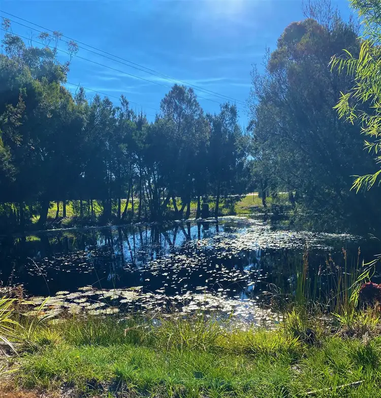 Third view of Homely rural property listing, 70 Riverview Road, Scamander TAS 7215