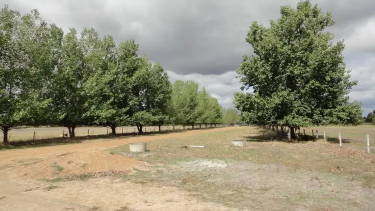 Sixth view of Homely rural property listing, 55 Clarke Road, Elgin WA 6237
