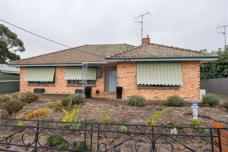 Main view of Homely house listing, 19 Young Street, Horsham VIC 3400